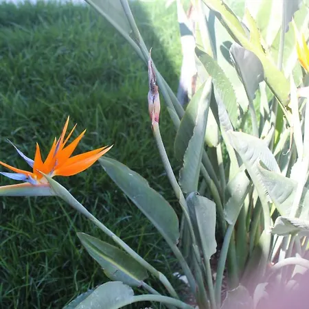 La Casa Del Sole Fermo