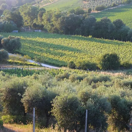 La Casa Del Sole Appartamento