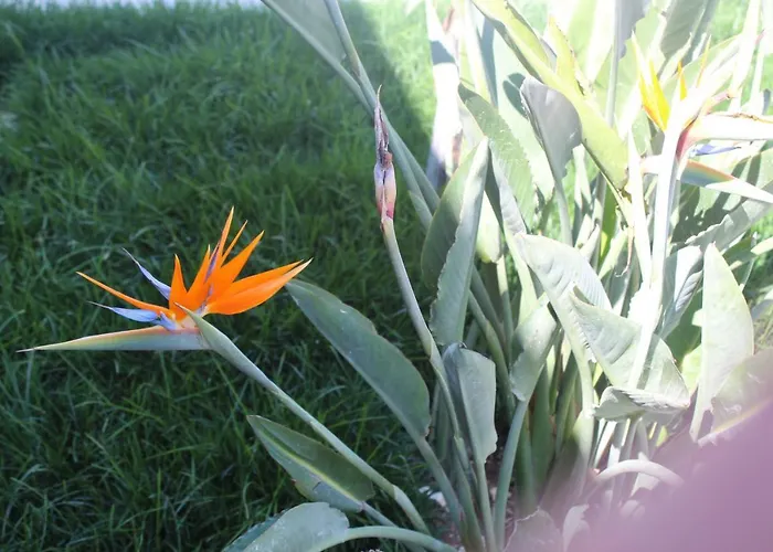 La Casa Del Sole Fermo